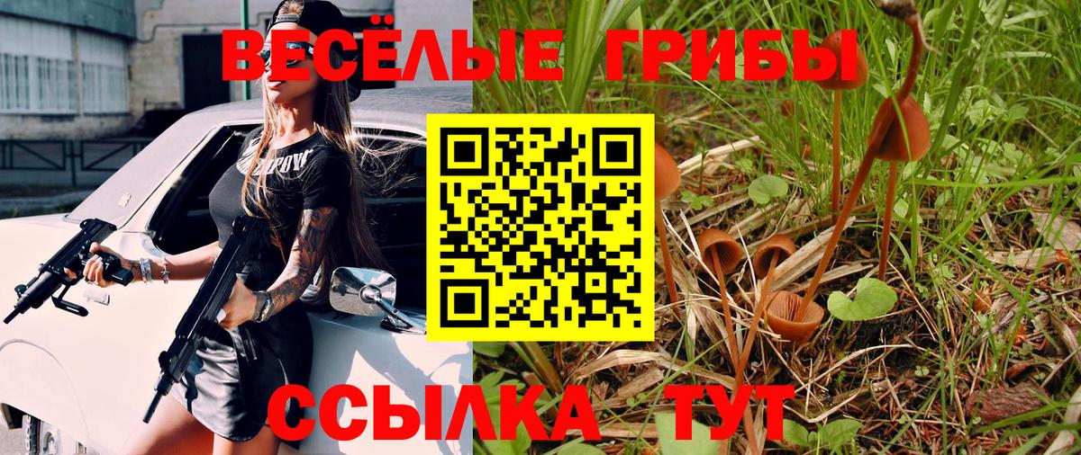Дзержинский  Галлюциногенные грибы мухоморы  Псилоцибиновые грибы GOLDEN TEACHER  Вход с VPN 